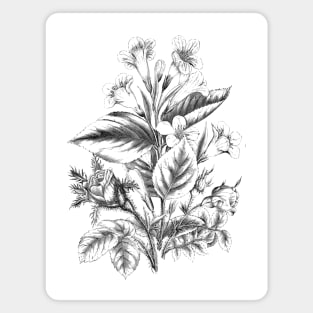 Flower Bouquet Black and White Vintage Botanical Illustration Magnet